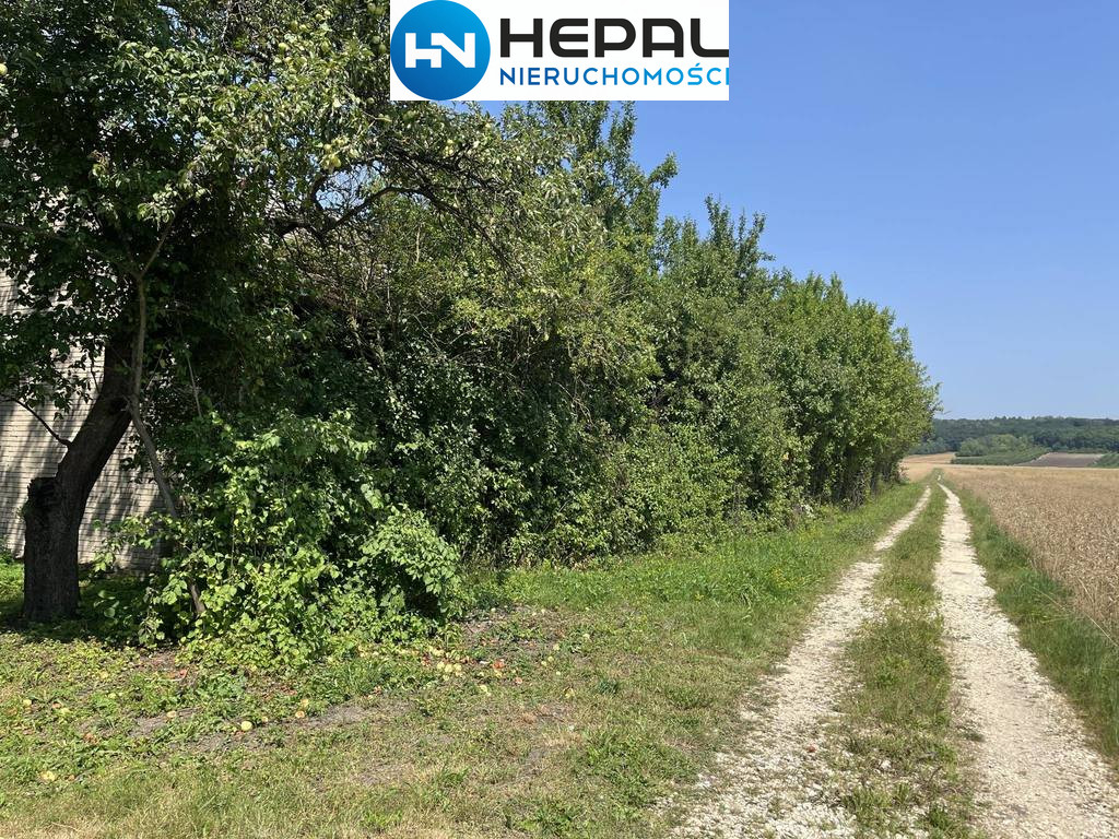 Działka Sprzedaż Zborów Zielona 8