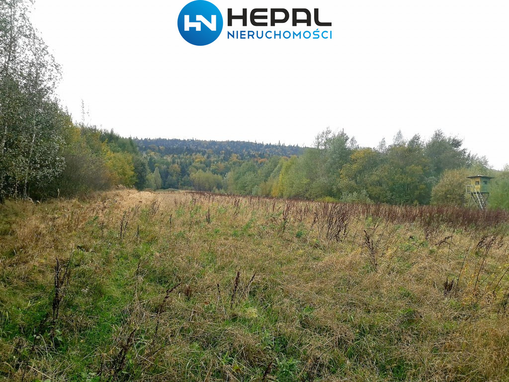 Działka Sprzedaż Baszowice 6