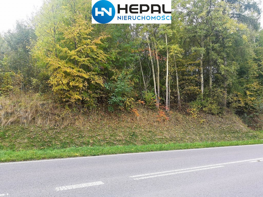 Działka Sprzedaż Baszowice 7