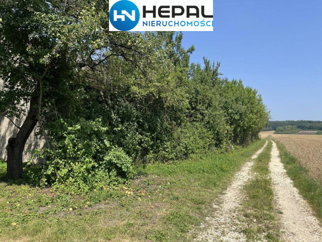 Działka Sprzedaż Zborów Zielona 8