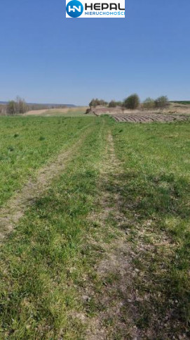 Działka Sprzedaż Dąbrowa Górna 3