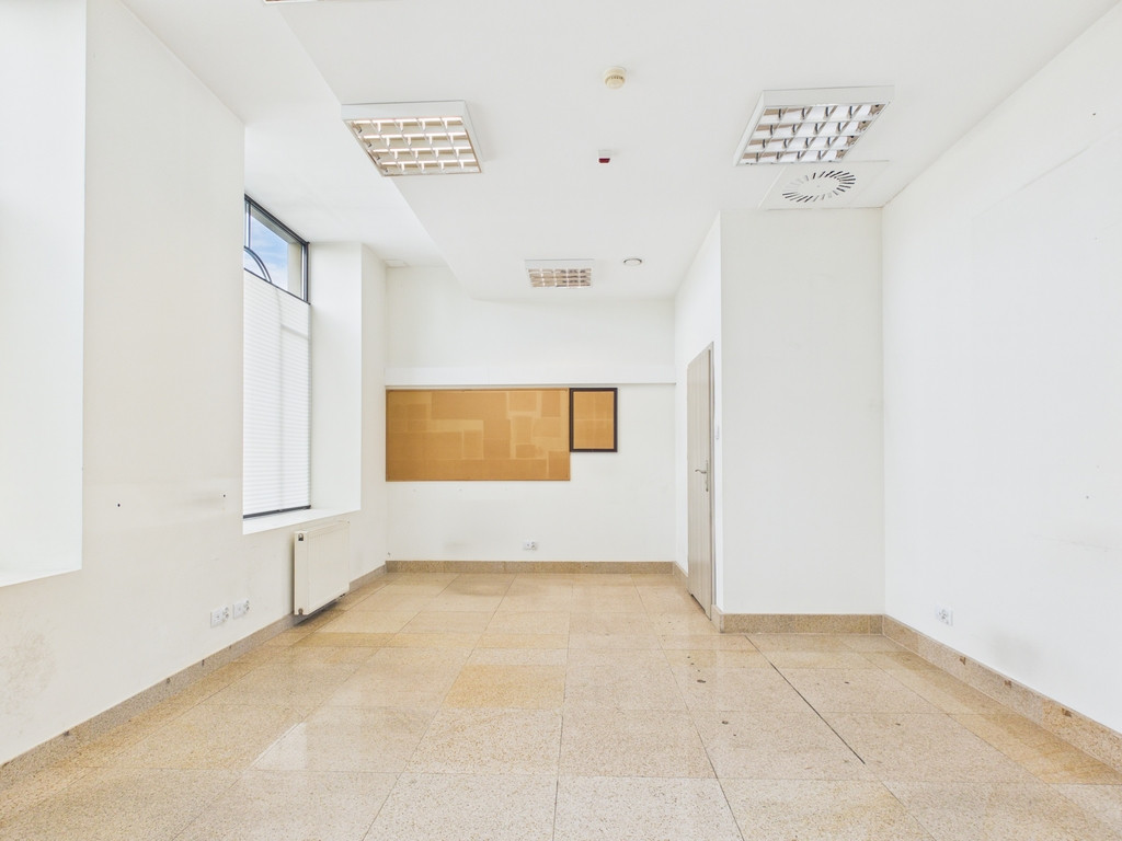 Lokal Wynajem Kielce Centrum