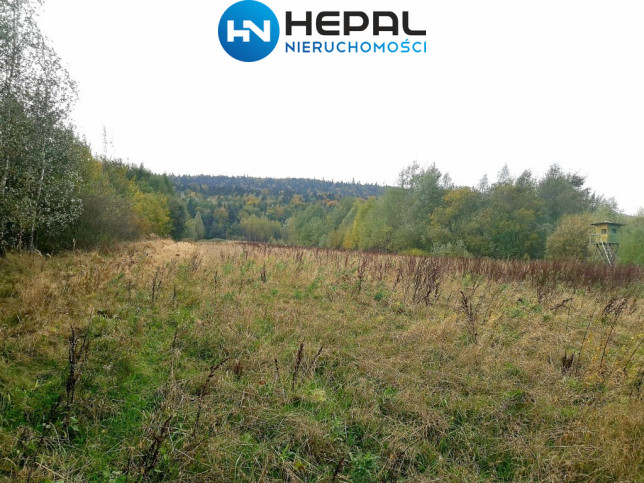 Działka Sprzedaż Baszowice 6