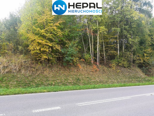 Działka Sprzedaż Baszowice 7