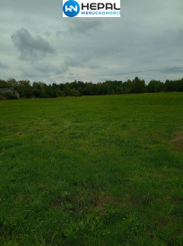 Działka Sprzedaż Brudzów
