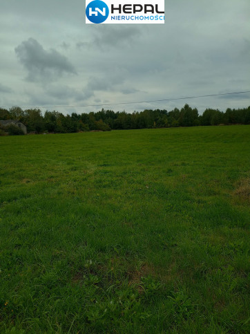 Działka Sprzedaż Brudzów 3