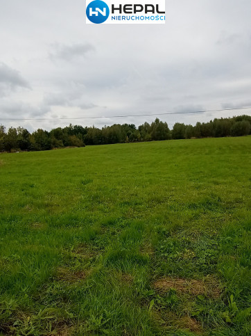 Działka Sprzedaż Brudzów 2