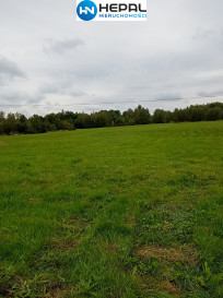 Działka Sprzedaż Brudzów